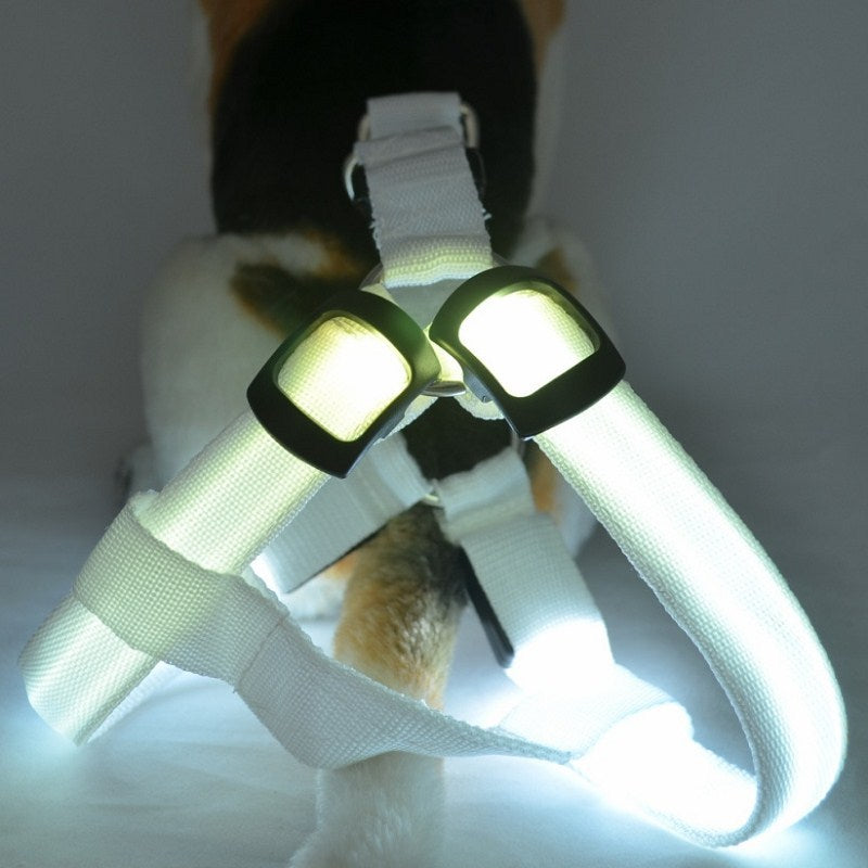 LED Hundegeschirr aus Nylon – Sicherheit bei Nacht, 3 Lichtmodi