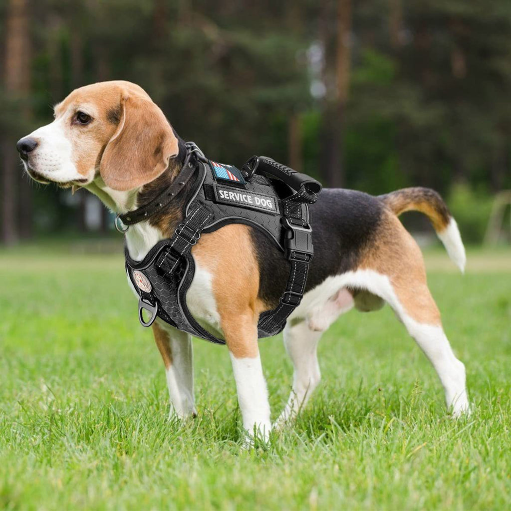 Hundegeschirr Weste – Stoßdämpfend & Komfortabel, Nylon, XS–XL
