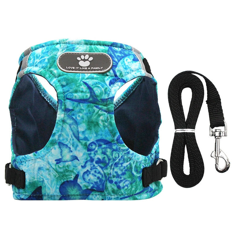 Hundegeschirr Weste Set mit Leine – Reflektierend, Weich, Verstellbar, XS–XL