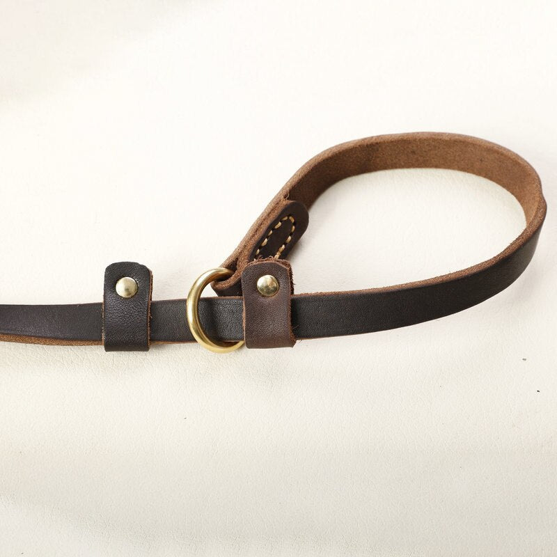 Echtleder-Hundeleine mit Slip-Collar – Braun, 180 cm