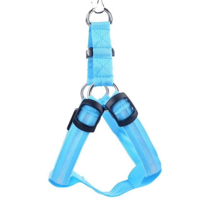 LED Hundegeschirr aus Nylon – Sicherheit bei Nacht, 3 Lichtmodi