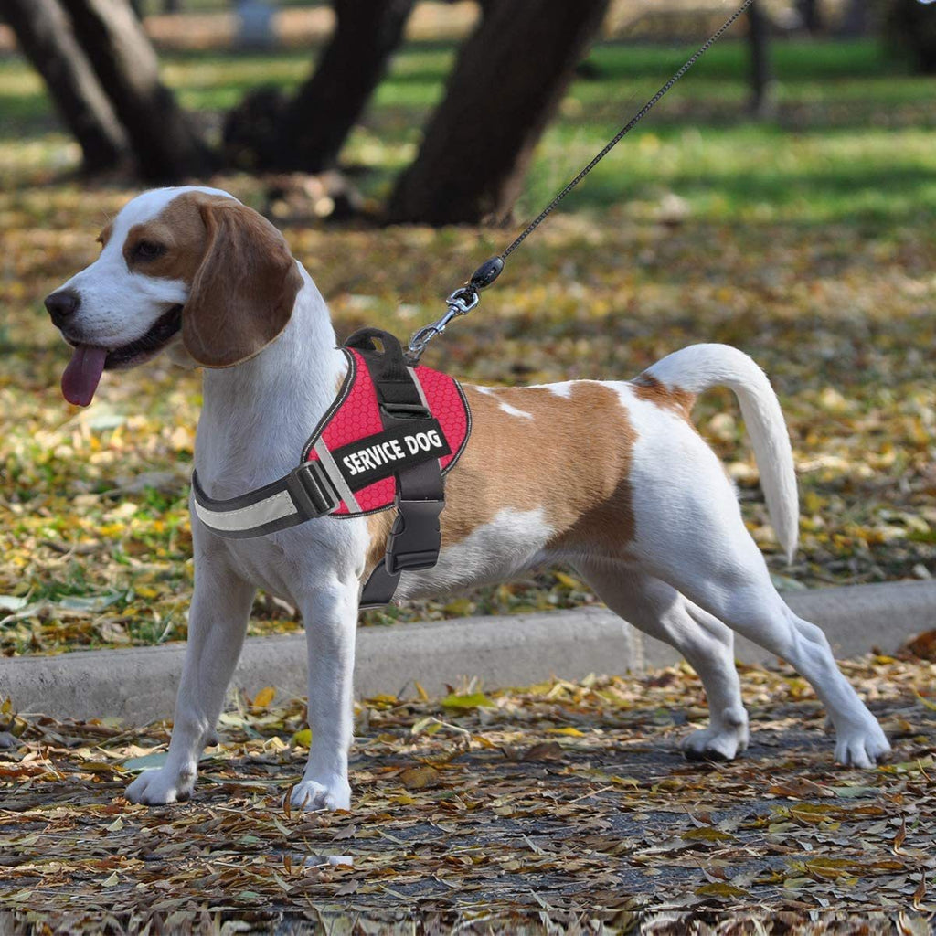 Reflektierendes Hundegeschirr im Unterhemd-Stil – dehnbar, mit Leine, XS–XXL