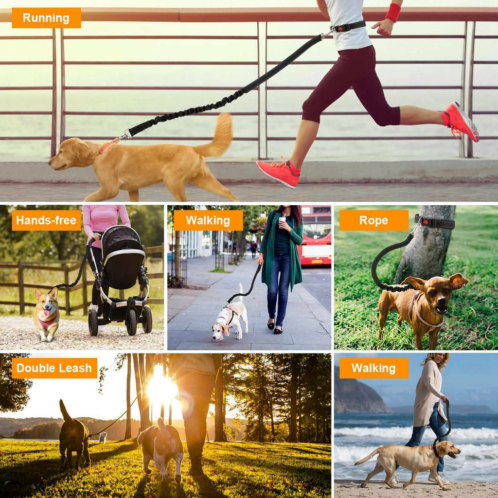 Freihändige Hundeleine – Hüftgürtel für Joggen & Spaziergang