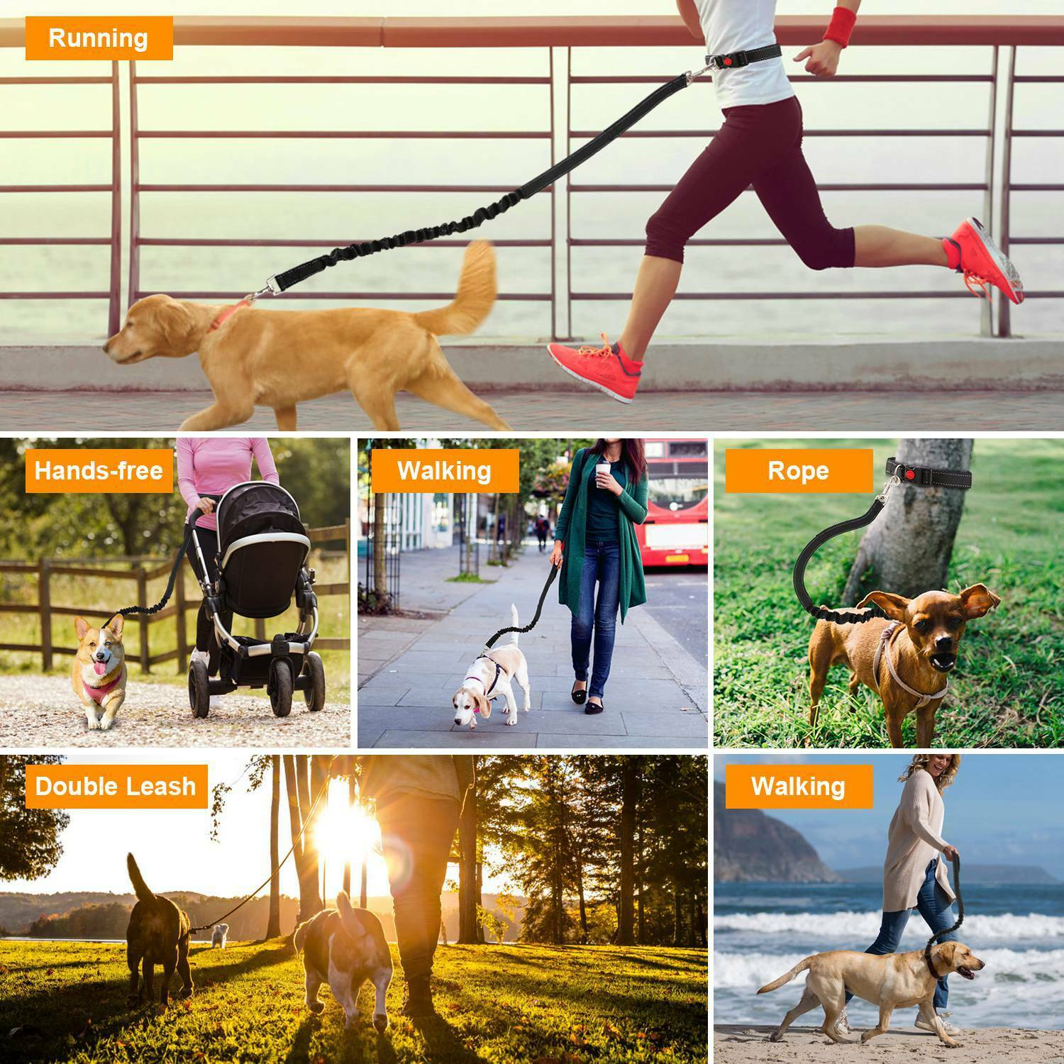 Freihändige Hundeleine – Hüftgürtel für Joggen & Spaziergang