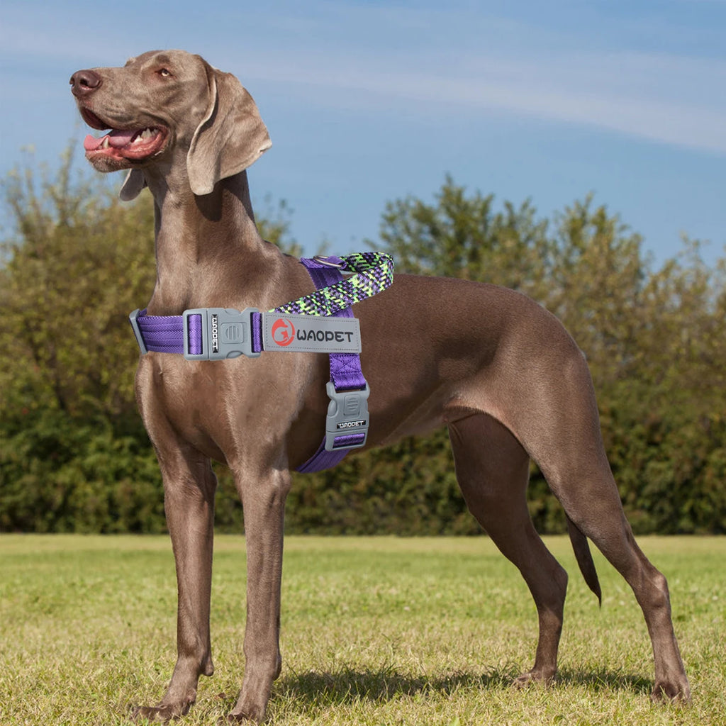 Hundegeschirr No-Pull – Reflektierend, Verstellbar, Nylon, S–L