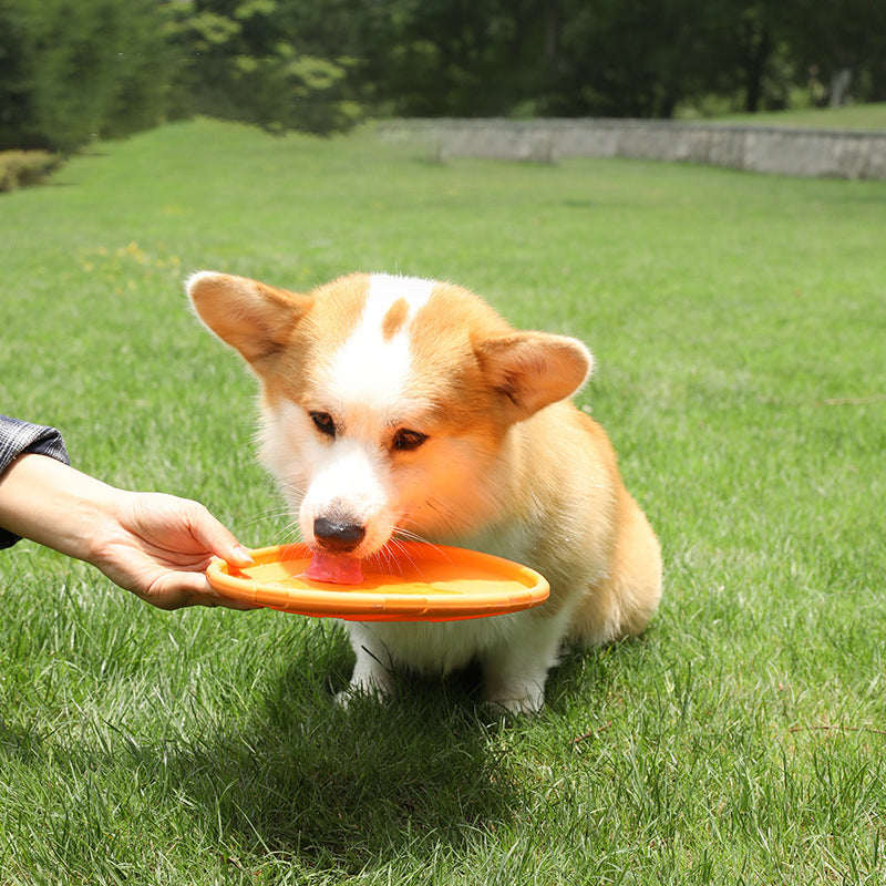 Hunde-Frisbee – Bissfest & Schwimmfähig | 3 Größen & 3 Farben