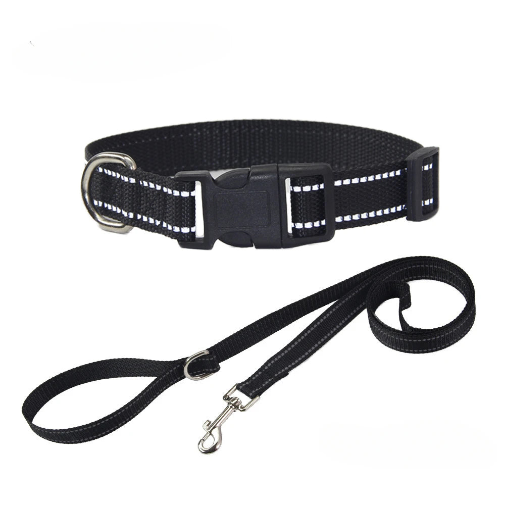 Nylon Hundehalsband & Leinenset – Verstellbar | 7 Farben & 4 Größen | XS–L