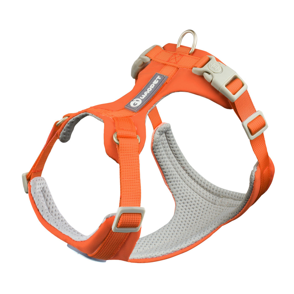 Hundegeschirr Set mit Leine – Atmungsaktiv, Reflektierend, Verstellbar, XS–L