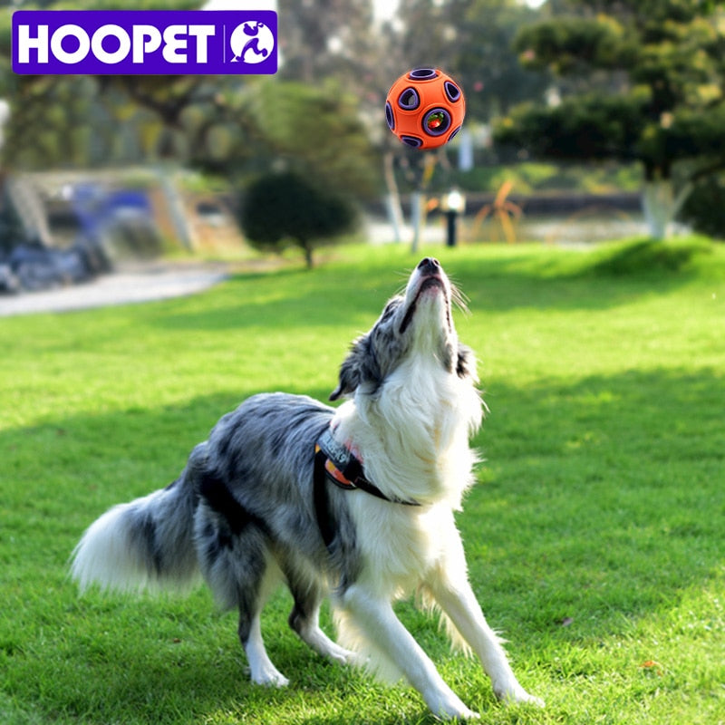 HOOPET Interaktiver Gummiball für Hunde – Leckerli-Spielzeug leuchtend oder mit Glocke