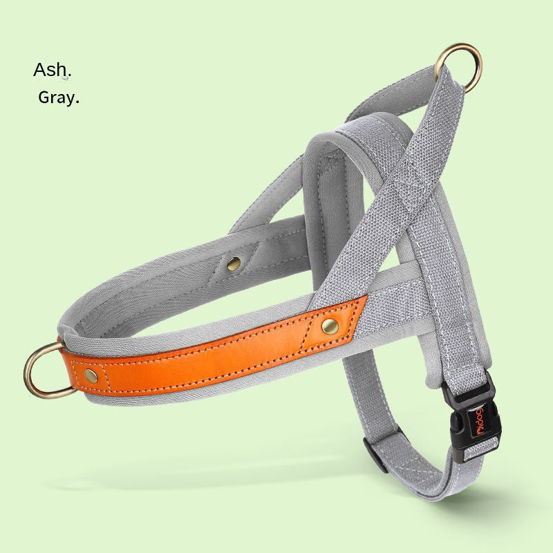 No-Pull Hundegeschirr aus Leder - Weich gepolstert | Reflektierend | 5 Farben | XS-L | Fuer alle Hunderassen