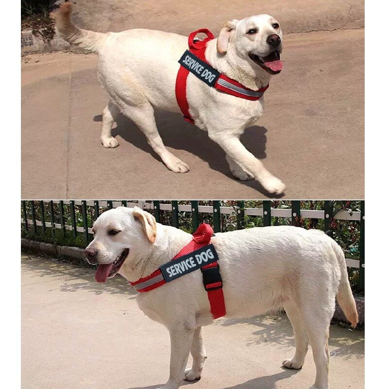 Verstellbares Hundegeschirr als Weste – S–XXL, 3 Farben