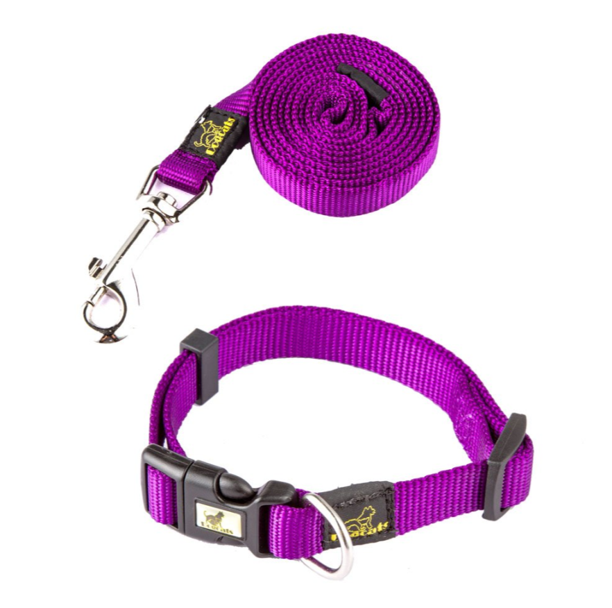 Nylon Hundehalsband mit Leine – modisches Set, 4 Farben, für alle Jahreszeiten