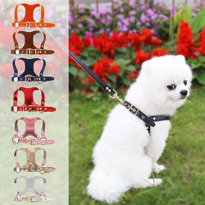 Hundegeschirr & Leine Set – Luxus PU-Leder für kleine Hunde