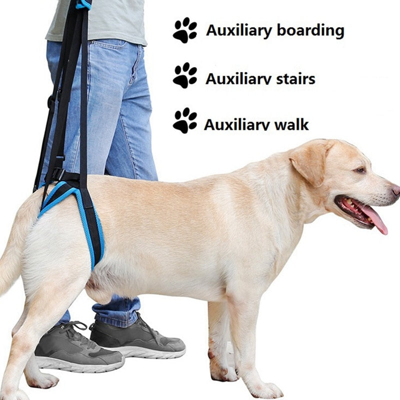 Stützgeschirr für Hunde – Hinterbeinhilfe, verstellbar, S–XL