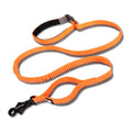 Elastische Hundeleine mit Puffer – Jogging & Hüftleine, 4 Farben, M (140–200 cm) / L (200–340 cm)