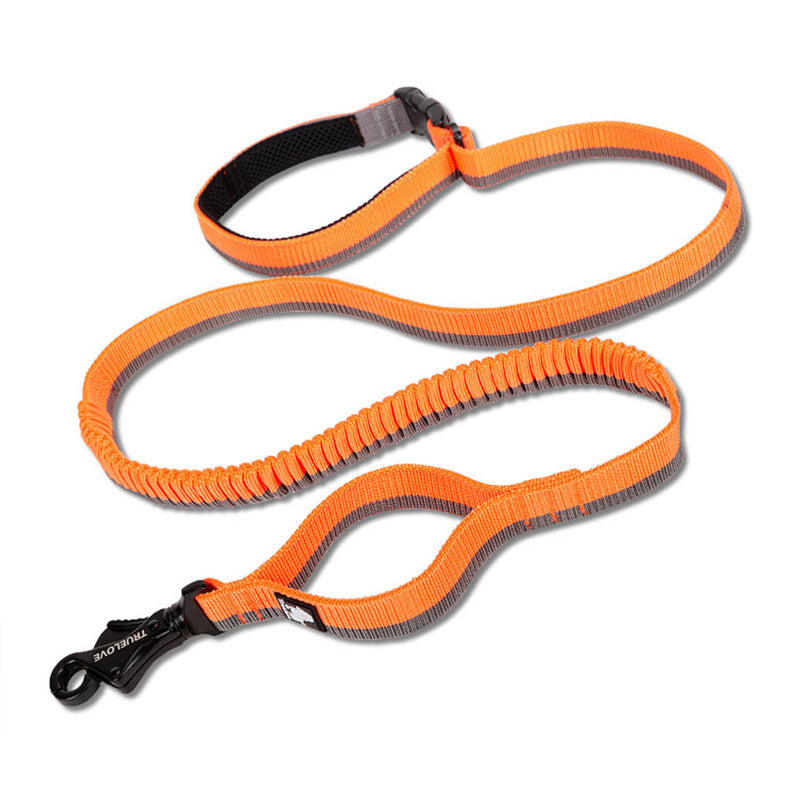 Elastische Hundeleine mit Puffer – Jogging & Hüftleine, 4 Farben, M (140–200 cm) / L (200–340 cm)