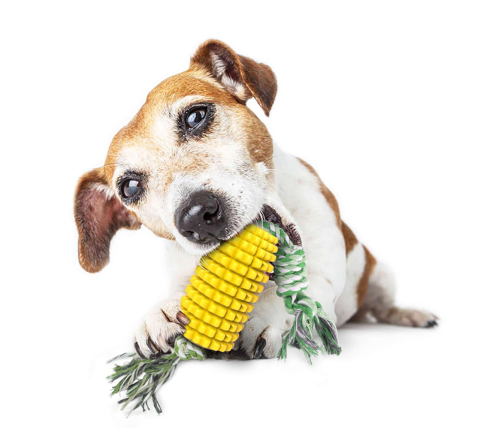 TPR Zahnpflege-Kaustab für Hunde – Knochen, Maiskolben & Seil