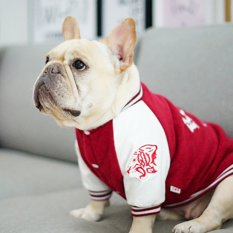 Hunde-Pullover Uni-Design | Weste für Bulldoggen & kleine Hunde | 100% Baumwolle