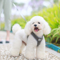 Atmungsaktives Westen-Geschirr fuer Hunde - Brustgeschirr | 3 Farben | S-XL | Kleine und mittelgrosse Hunde
