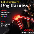 LED-Leuchtgeschirr fuer Hunde - 7-Farben-Farbwechsel | Ausbruchsicher | S-XXL | Sicher bei Nacht
