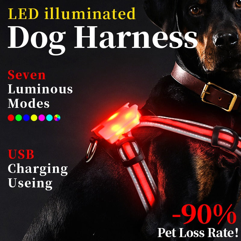 LED-Leuchtgeschirr fuer Hunde - 7-Farben-Farbwechsel | Ausbruchsicher | S-XXL | Sicher bei Nacht