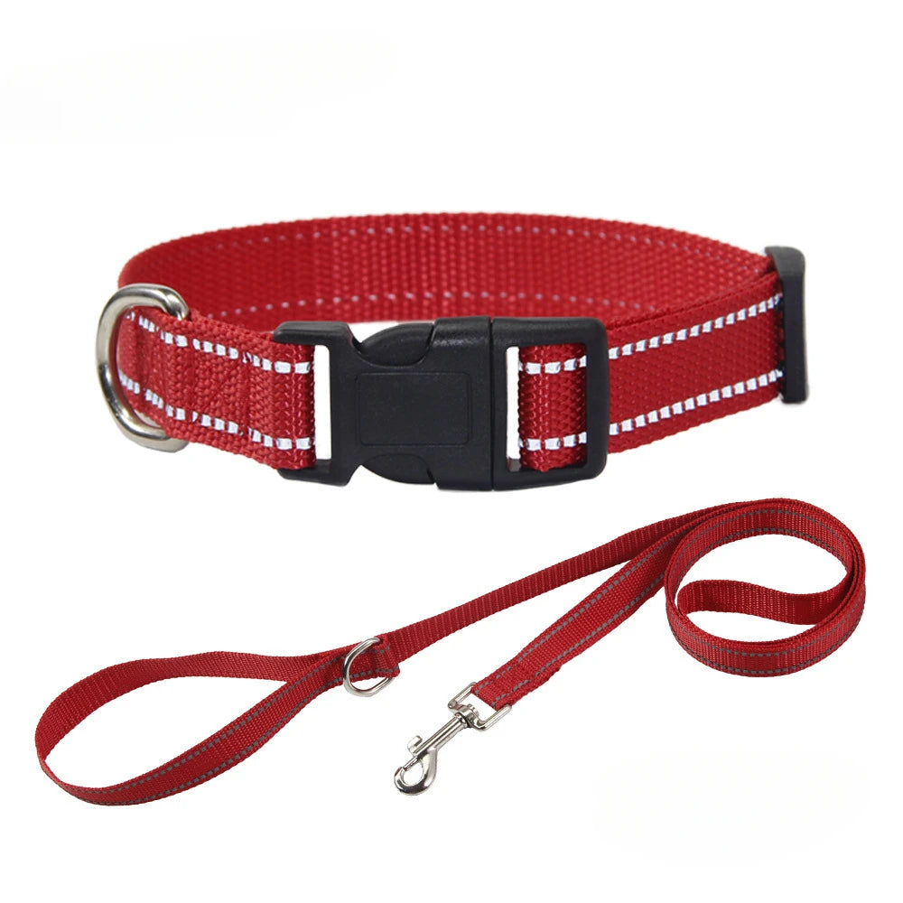 Nylon Hundehalsband & Leinenset – Verstellbar | 7 Farben & 4 Größen | XS–L