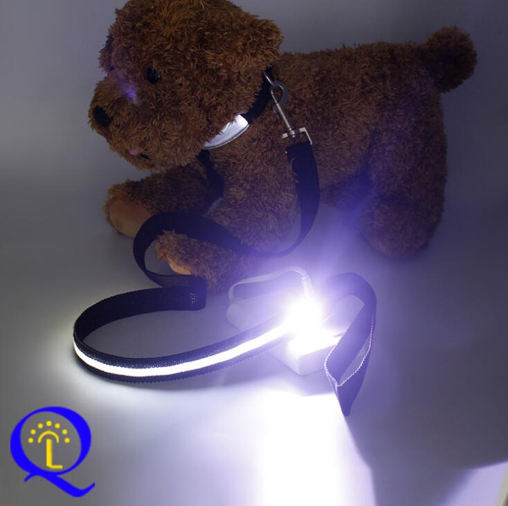 LED-Hundeleine mit Doppelfaser-Licht - Nylon | 6 Farben | 3 Leuchtmodi | Sicher bei Nacht