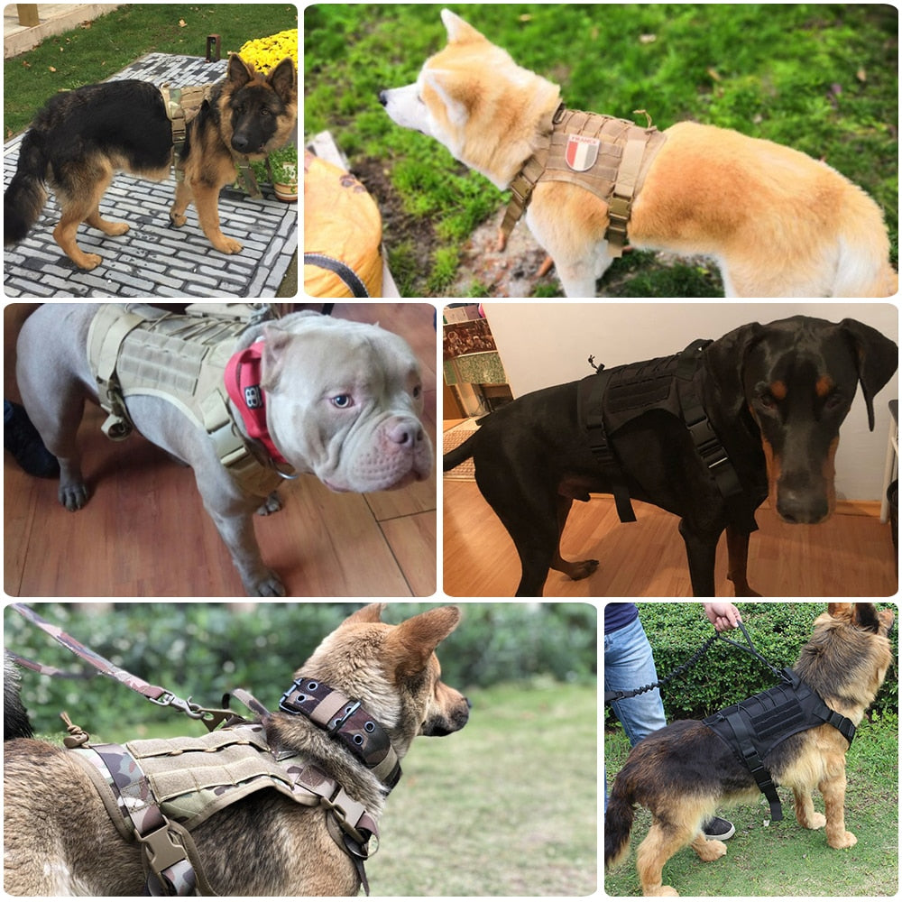 Taktisches Hundegeschirr Military MOLLE – 1000D Nylon, 4 Farben, M/L/XL, auch als Set mit Leine