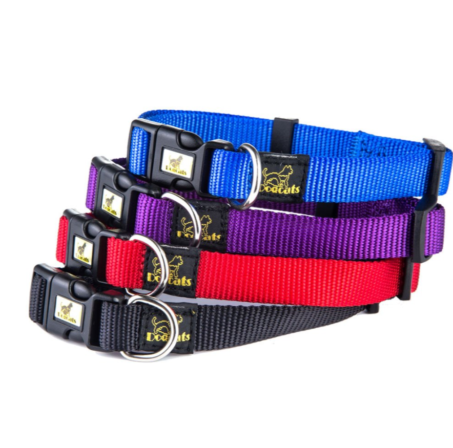 Nylon Hundehalsband mit Leine – modisches Set, 4 Farben, für alle Jahreszeiten