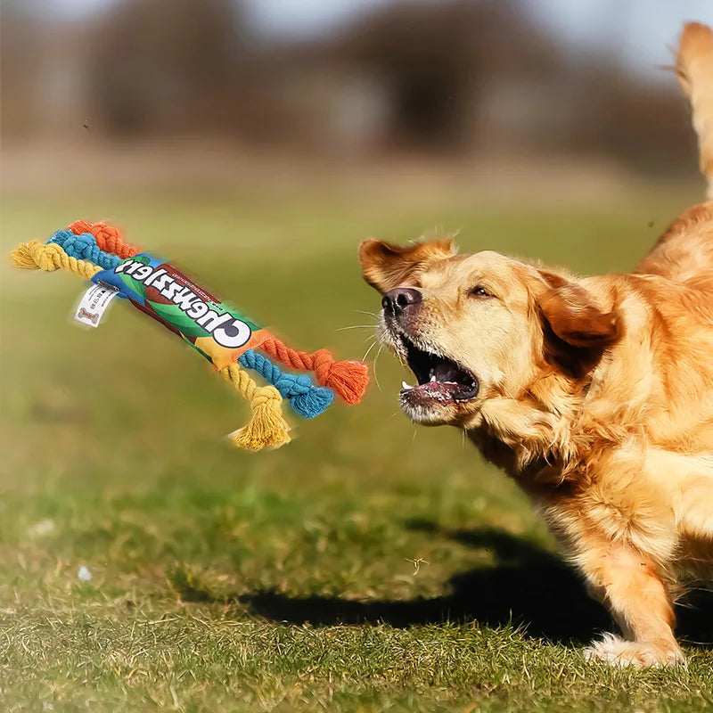 Baumwollseil Knotenspielzeug für Hunde – Regenbogenfarben | Zahnpflege & Kauen | 41 cm