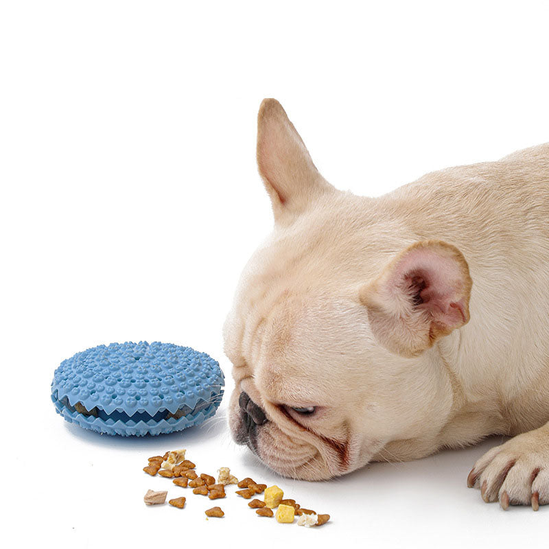 Leckerli-Ball mit Sound fuer Hunde - TPR | Bissfest | Zahnpflege | 4 Farben