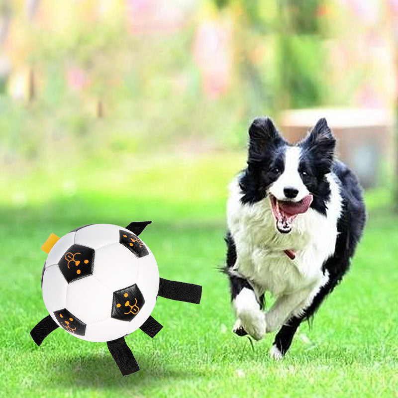 Hunde-Fussball mit Seilen - TPU | Beissresistent | 15 oder 17 cm | Inkl. Luftpumpe | Interaktiv