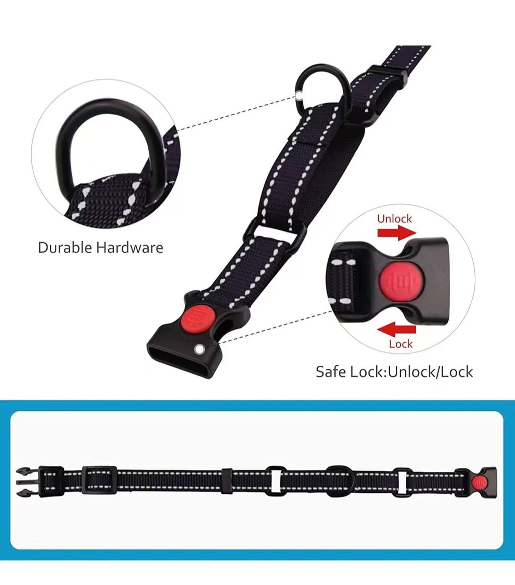 Reflektierendes Hundehalsband aus Nylon – verstellbar, mit Leine
