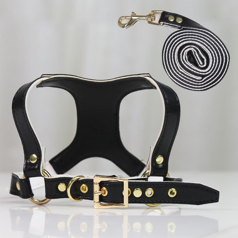 Hundegeschirr & Leine Set – Luxus PU-Leder für kleine Hunde