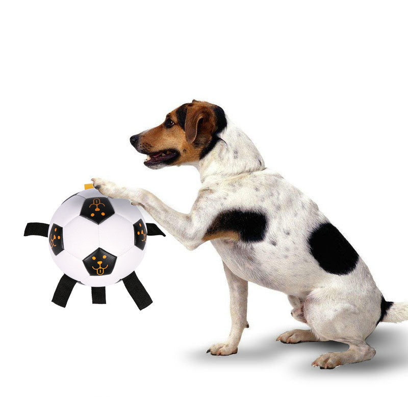 Hunde-Fussball mit Seilen - TPU | Beissresistent | 15 oder 17 cm | Inkl. Luftpumpe | Interaktiv