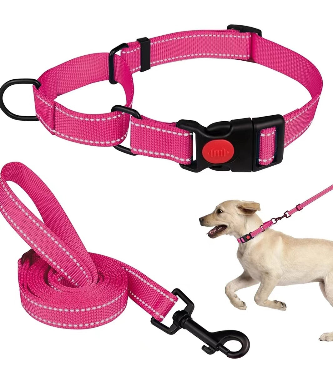 Reflektierendes Hundehalsband aus Nylon – verstellbar, mit Leine
