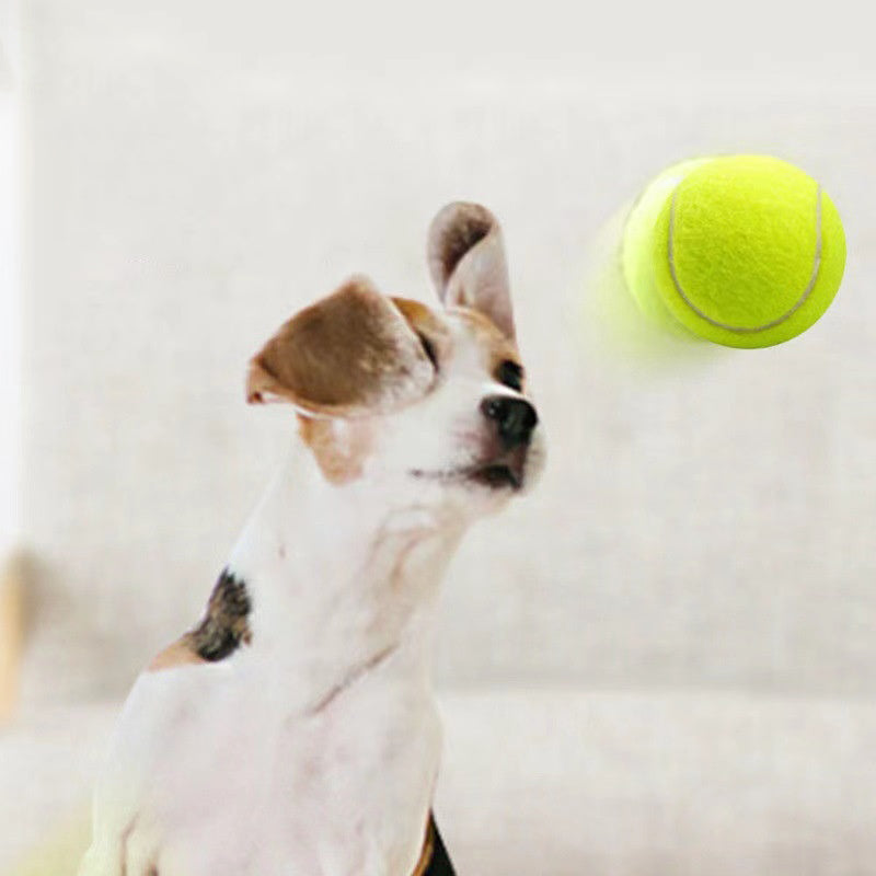 Gummi-Tennisball für Hunde – elastisch, bissfest, 6 cm