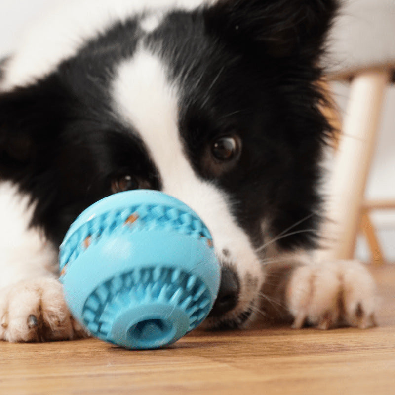 Leckerli-Zahnpflegeball für Hunde – Naturkautschuk, bissfest, in 2 Größen