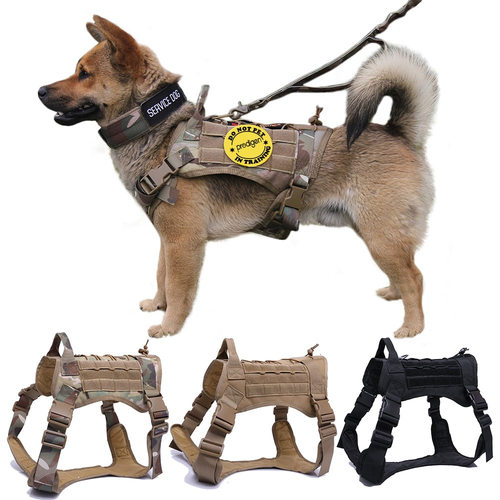 Taktisches Hundegeschirr Military MOLLE – 1000D Nylon, 4 Farben, M/L/XL, auch als Set mit Leine