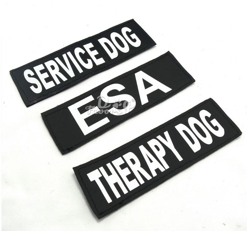 Personalisiertes Hundegeschirr No-Pull – Reflektierend, Atmungsaktiv, mit Namens-Patch, XS–2XL
