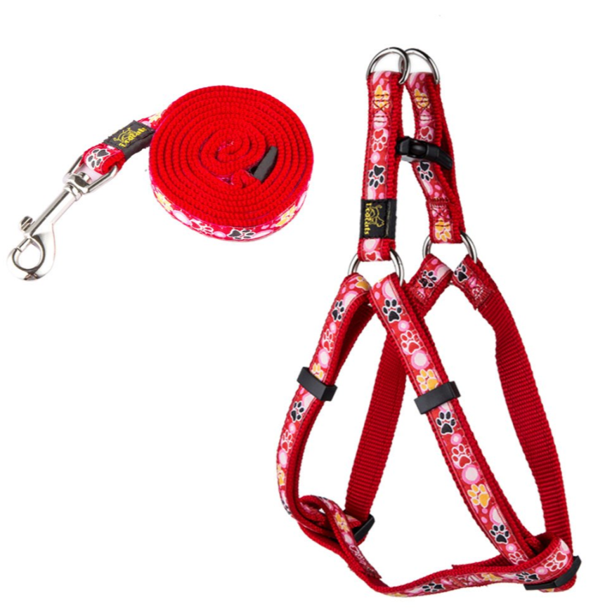 Hundehalsband & Leine Set mit Pfoten-Muster – Nylon, 3 Farben, S/M/L