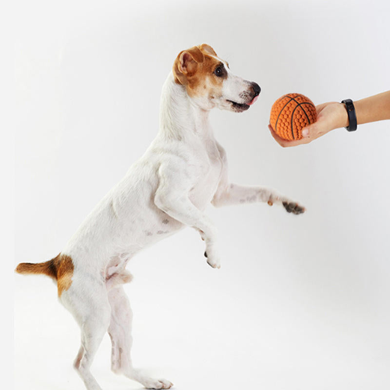 Latex-Basketball für Hunde – Apportieren, Zahnpflege & Stressabbau