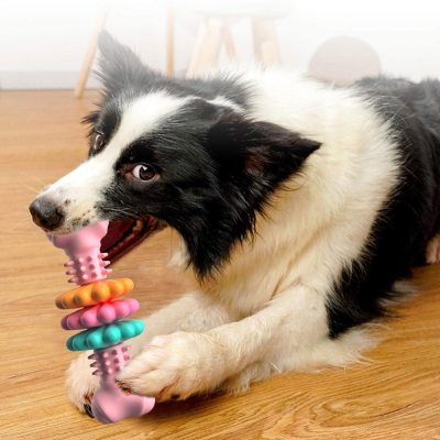 Unzerstörbarer TPR-Knochen für Hunde – Zahnreinigung, Zahnfleischmassage & Stressabbau