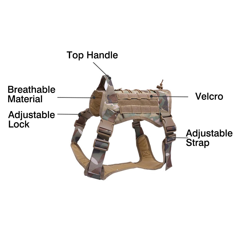Taktisches Hundegeschirr Military MOLLE – 1000D Nylon, 4 Farben, M/L/XL, auch als Set mit Leine