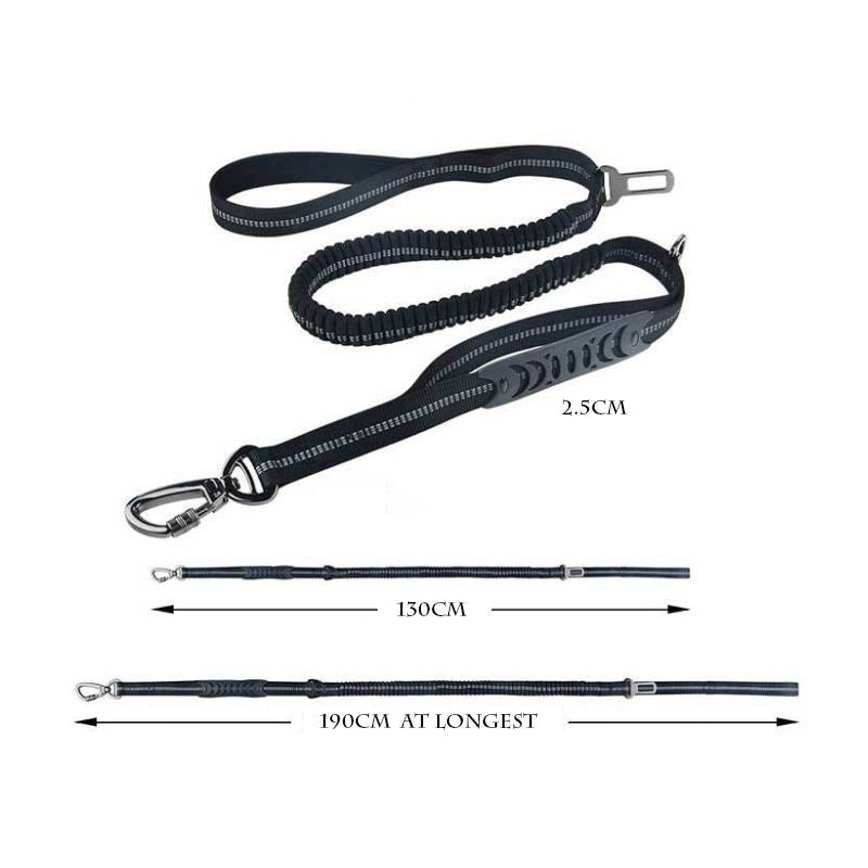 Hunde-Sicherheitsgurt Auto reflektierend – Nylon 2,5 x 135 cm, 6 Farben, für mittlere & große Hunde