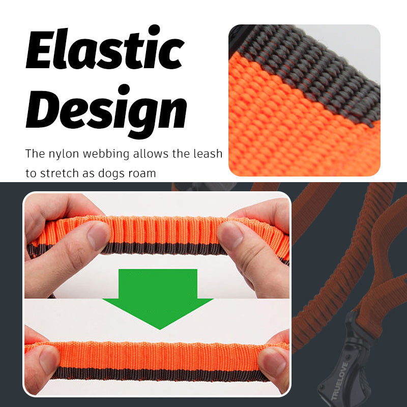 Elastische Hundeleine mit Puffer – Jogging & Hüftleine, 4 Farben, M (140–200 cm) / L (200–340 cm)