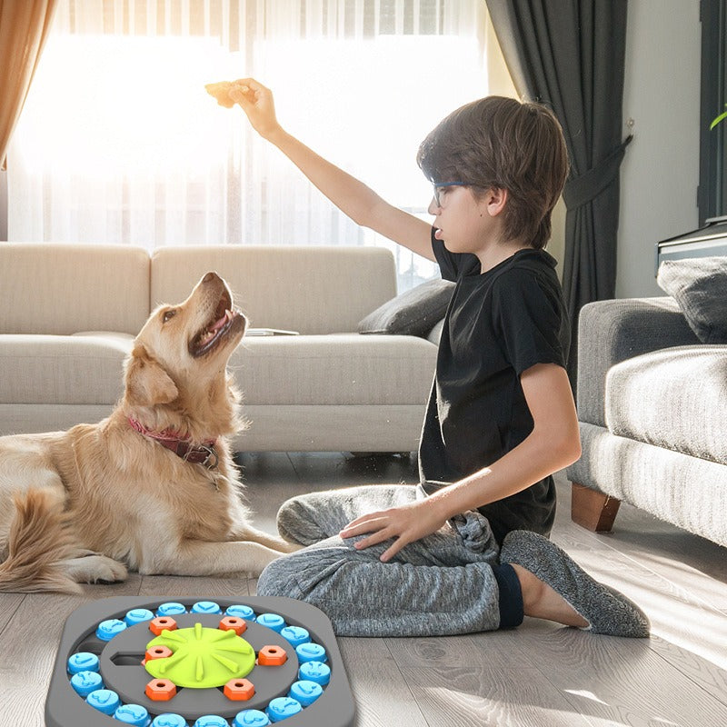 Intelligenzspielzeug Puzzle-Feeder für Hunde – interaktiv, Snack-Versteck