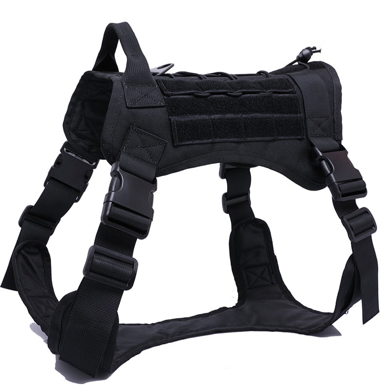 Taktisches Hundegeschirr Military MOLLE – 1000D Nylon, 4 Farben, M/L/XL, auch als Set mit Leine