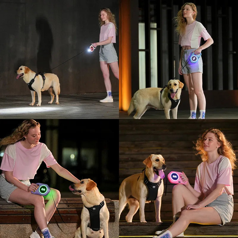LED Flexleine Hund 5 m – RGB-Umgebungslicht & Spotlight, aufladbar, 4 Farben