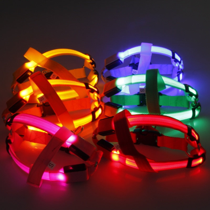 LED Hundegeschirr aus Nylon – Sicherheit bei Nacht, 3 Lichtmodi